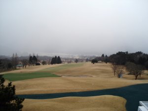20090326