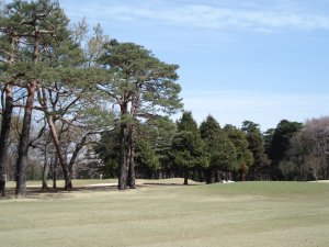 20090403
