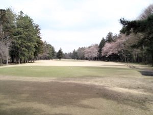 20090404