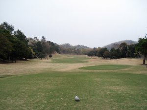 20090412
