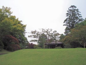 20090610