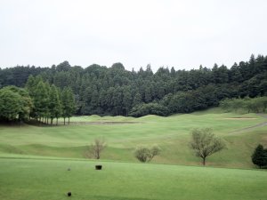 20090612