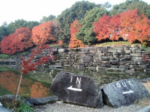 20091128