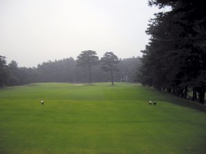 20080609