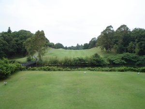 20080618