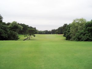 20080626