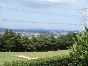 20080726