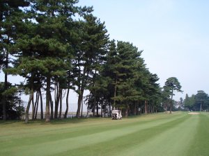 20081022