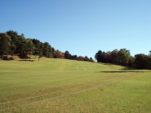 20081028