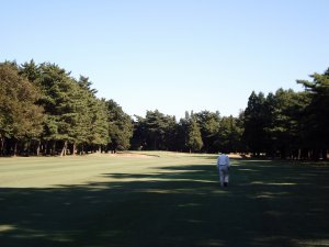 20081101