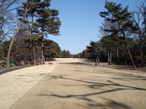 20090117