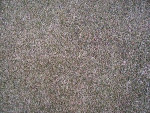20090211