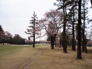 20090401