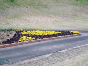 20090412