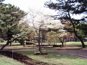 20090419