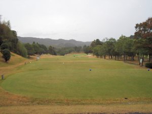 20091114
