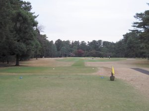 20091119