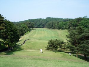 20080523