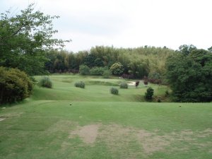 20080618