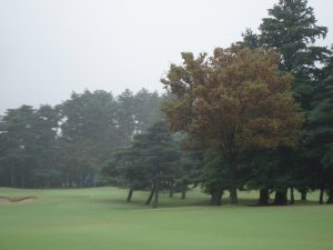 20081024