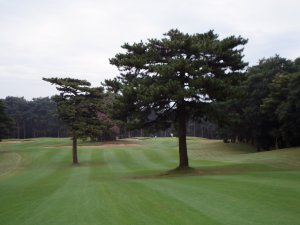 20081026
