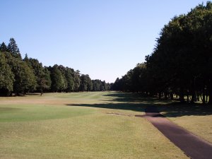 20081101