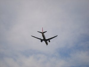 20081102