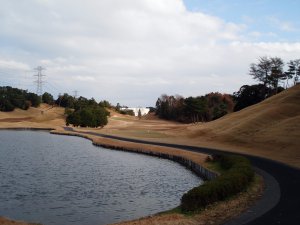 20081102
