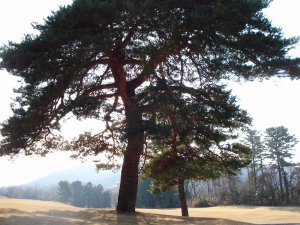 20081230