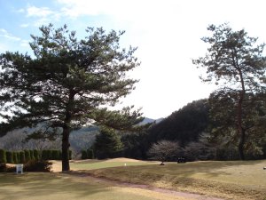 20090110