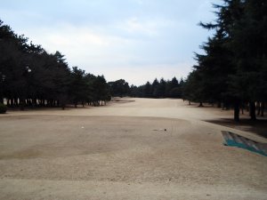 20090211