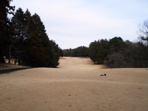 20090219