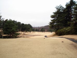 20090226