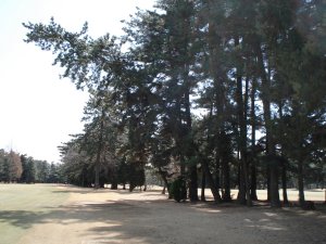 20090307