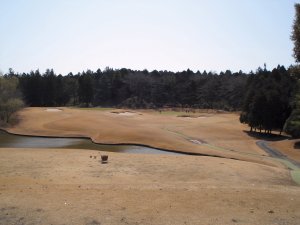 20090312