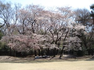 20090403