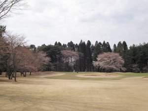 20090404