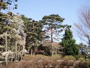 20090415
