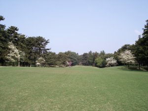 20090419