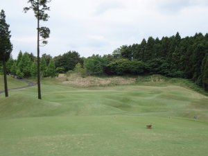 20090516
