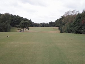 20091112