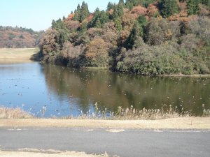 20091202