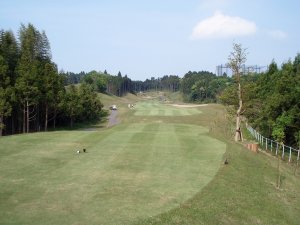 20080516