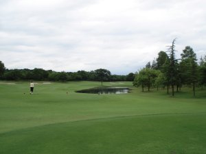 20080623