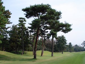 20081022