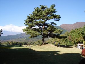 20081028
