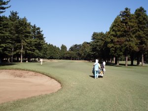 20081101