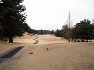 20090226