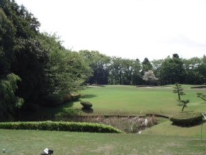 20090422