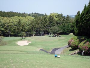20090429